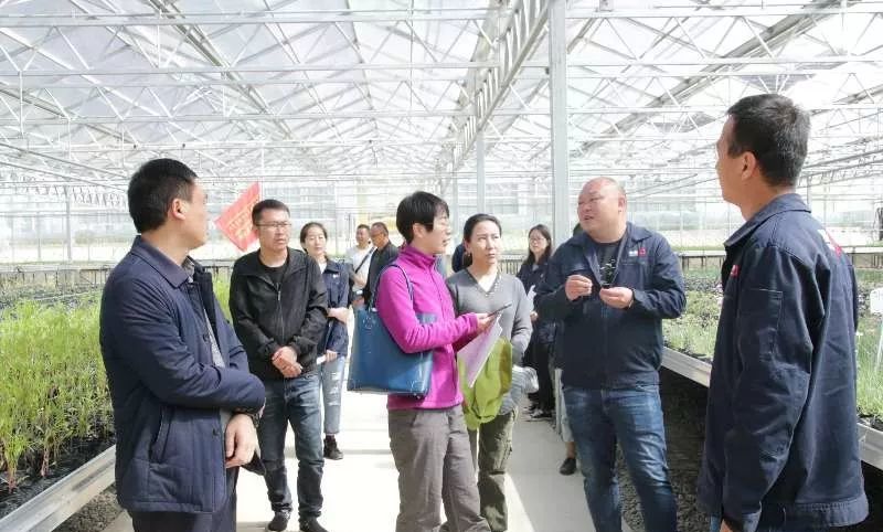 自治区财政厅预算处副处长蒋琳一行莅临扎囊县开展基层财力调研.jpg